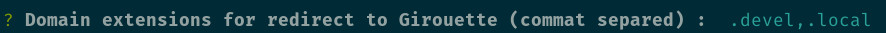 Dns proxy